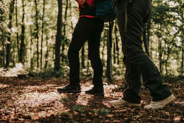 Bivouac du Sentier des Pins