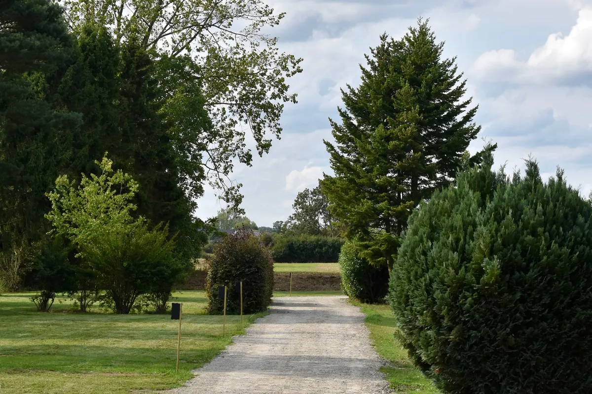 De mooiste campings in Nedersaksen — met Naturresort Weserinsel in de spotlight
