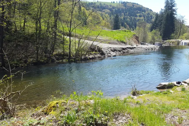 Wohnmobil Stellplatz Schönau im Schwarzwald
