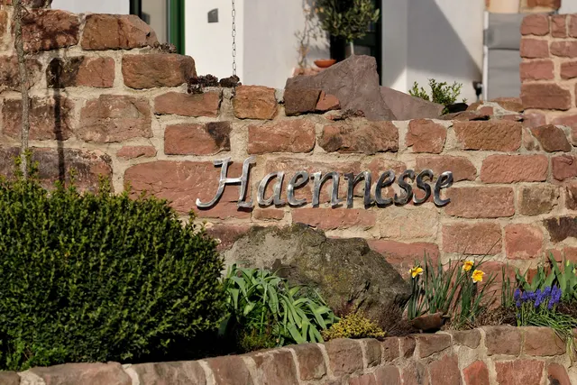 Campingwiese Hof Haennesse