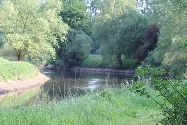 Sonnenwiese