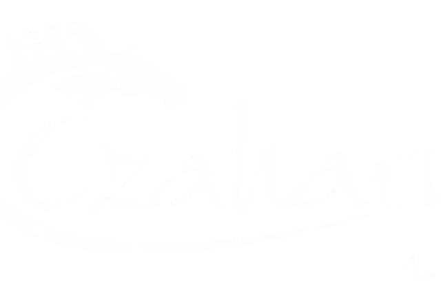 Camping Czahary